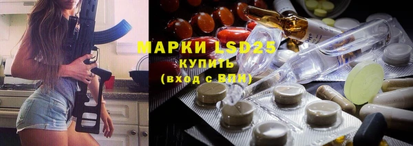 крисы Аркадак