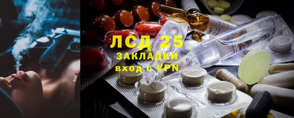 крисы Аркадак