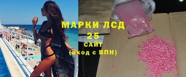 крисы Аркадак