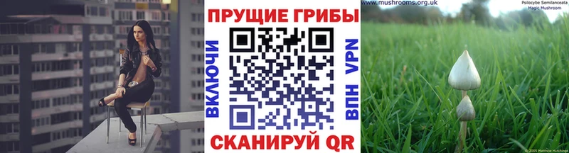 мега рабочий сайт  Барыш  Галлюциногенные грибы мухоморы 